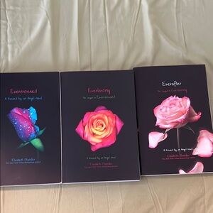 Set of Three Elizabeth Chandler Books